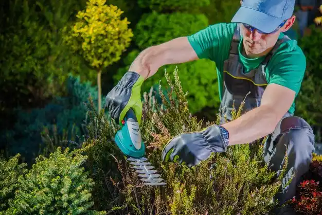 landscaping services Shelbina